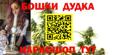 apvp Дубна